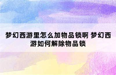 梦幻西游里怎么加物品锁啊 梦幻西游如何解除物品锁